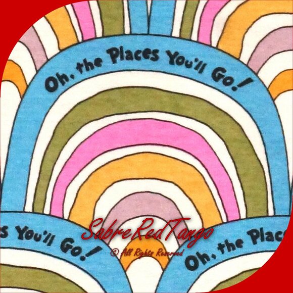 NWT Hanna Andersson Organic Long Johns Pajamas Dr Seuss Places You'll Go 120 6 7 - Picture 3 of 6